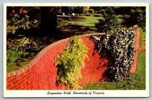 University of Virginia  Serpentine Wall  1950  Postcard