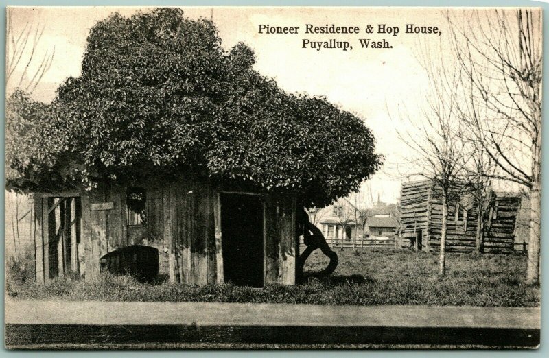 Pioneer Residence and Hop House Puyallup Washington WA UNP DB Postcard D14