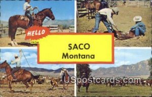 Saco, Montana