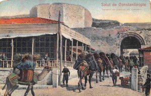 Camel Caravan City Gate Istanbul Turkey 1914 postcard
