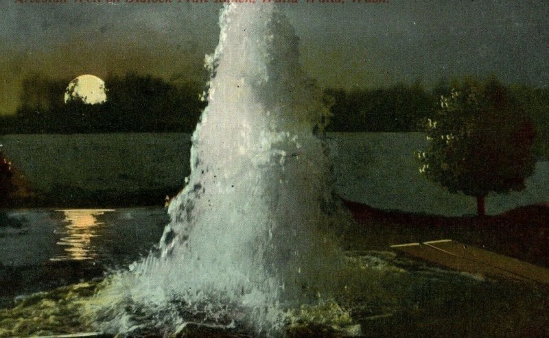 C.1910 Artesian Well Blalock Fruit Ranch Walla Walla Washington Postcard P94