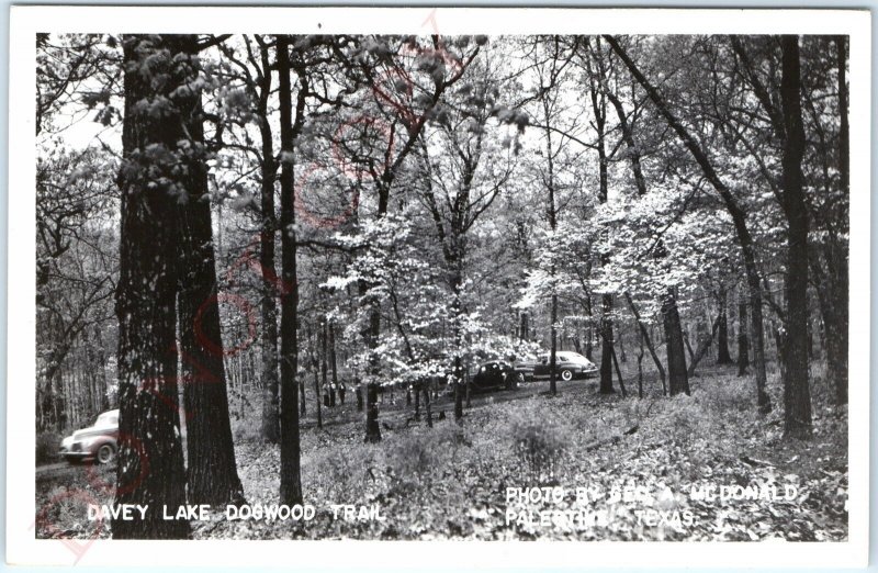 c1950s Palestine, TX RPPC Davey Lake Dogwood Trail Real Photo Postcard Cars A120