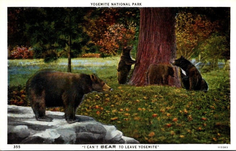 Yosemite National Park Bears I Can't Bbear To Leave Yosemite