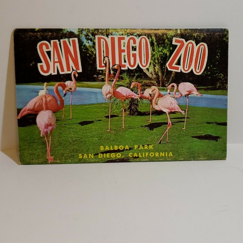 Vintage Postcard San Diego Zoo Balboa Park California Tigers elephant gorilla