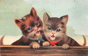 A PAIR OF CATS EMBOSSED POSTCARD (c. 1910) ***