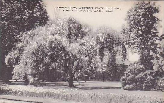 Washington Fort Steilacoom Campus View Western State Hospital Artvue