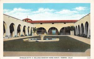 B88/ Pomona California Ca Postcard c1920 Stables Kellogg Arabian Horse Ranch 1