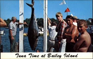 Bailey Island ME Maine Tuna Fishing Tournament 1950s-60s Postcard