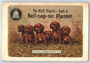 c1905 Puppies Dog Bell Cap Sic Plaster To Kill Pain Advertising Antique Postcard