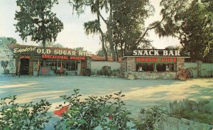 St Augustine FL The Old Sugar Mill Museum Juice Bar Postcard