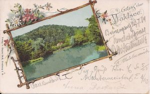 Waldsee, Gruss Aus Type, 1904 Rhineland Palatinate, Germany, Spa Resort Area