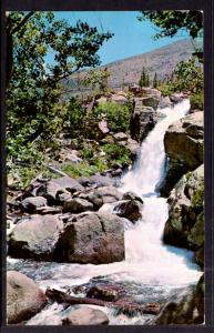 Alberta Falls,Rockey Mountain National Park,CO BIN