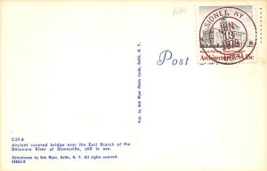 Delaware River Downsville, New York USA Postcard