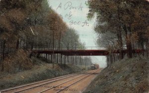 Richmond Hill Long Island New York Forest Park Bridge and Train PC AA109937