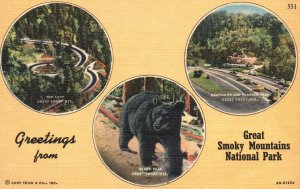 Vintage Postcard Greetings From Great Smoky Mountains Loop Bear Parking Area