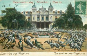 Souvenir de Monaco Monte Carlo casino gambling pigeons with and without feathers