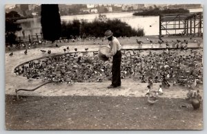 RPPC Man Feeding The Ducks Real Photo c1940s Postcard B43