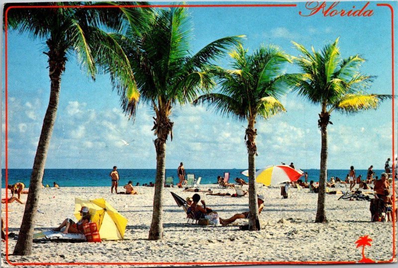 Florida Tropical Beach Scene