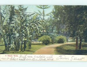 Pre-1907 SHADY WALK Postmarked Sacramento California CA A1395