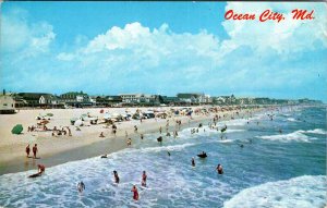 Postcard BEACH SCENE Ocean City Maryland MD AO1407