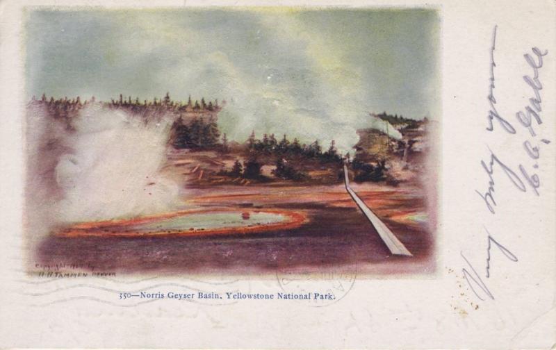 Norris Geyser Basin Yellowstone National Park Vintage Postcard E7