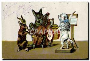 Old Postcard Donkey Mule Music Dog Chevre