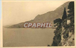Old Postcard Monaco Principality L Anse Township sight Gardens of Monaco