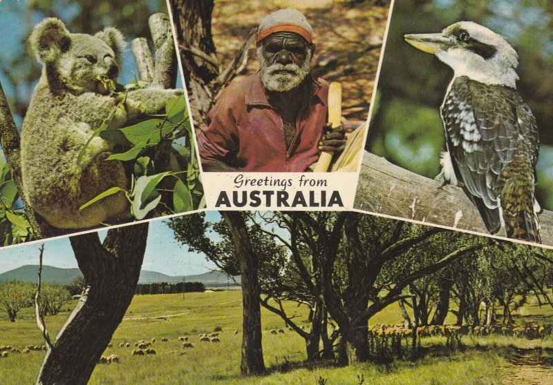 GREETINGS FROM AUSTRALIA - Vintage POSTCARD