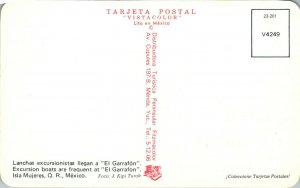 El Garrafon Isla Mujeres Mexico Excursion Boats Postcard