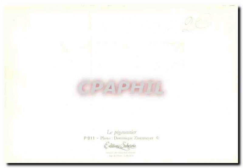 Modern Postcard The pigeon