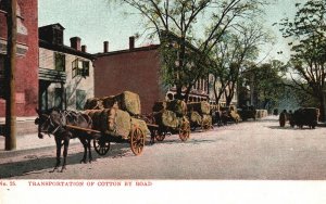 Transportation Of Cotton By Road Horse Carriage Vintage Postcard c1900