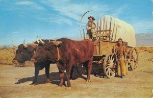 OX TEAM - COVERED WAGON Conestoga Western Movie Indian 1966 Vintage Postcard
