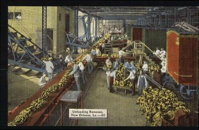 Linen Postcard-Unloading Bananas-New Orleans,Louisiana