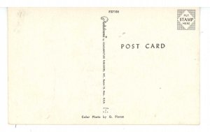 FL - Beauty on the Beach