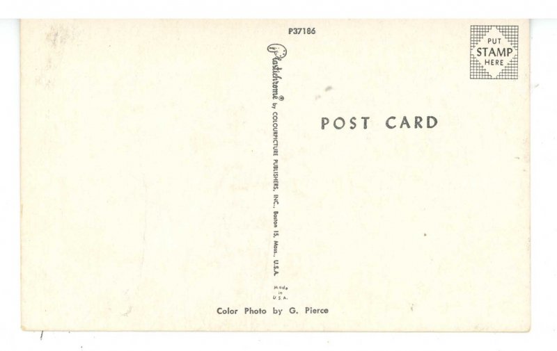 FL - Beauty on the Beach