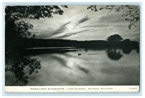 1909 Moonlight Silhouette, Lake Allegan, Allegan Michigan MI Antique Postcard