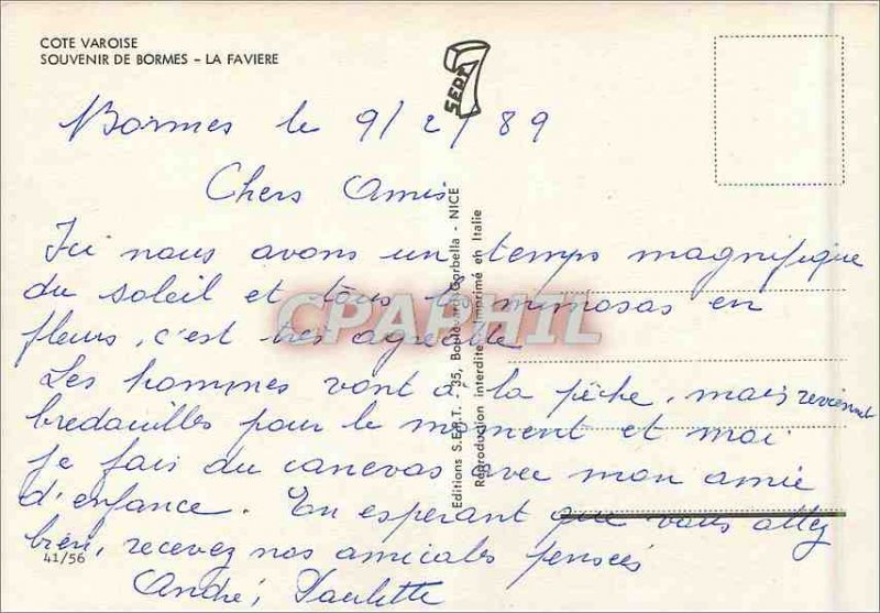 Postcard Modern Riviera Var Remembrance Bormes La Faviere