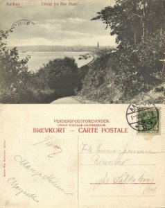 denmark, AARHUS ÅRHUS, Udsigt fra Riis Skov (1907) Postcard