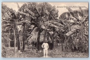 Kingston Jamaica Postcard Moneague Banana Trees and Native Peasant c1920’s