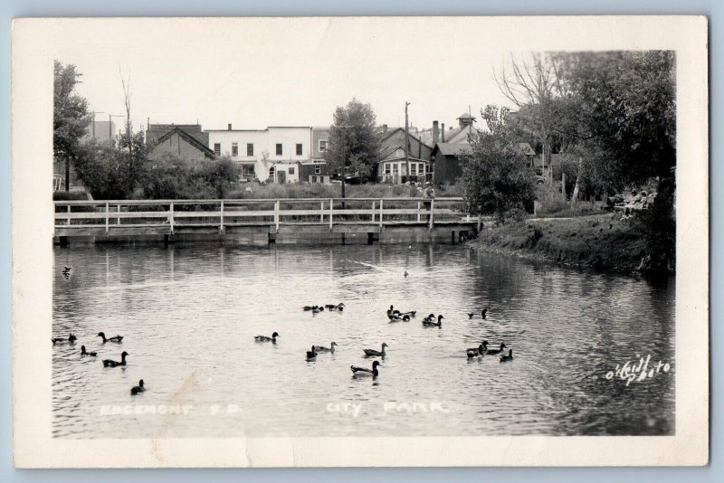 Edgemont South Dakota SD Postcard RPPC Photo City Park Ducks O'neill c1940's