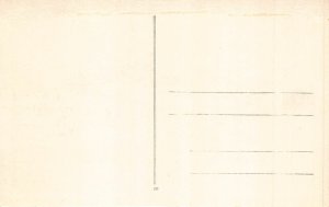 Germany Berlin Schloss Castle vintage postcard