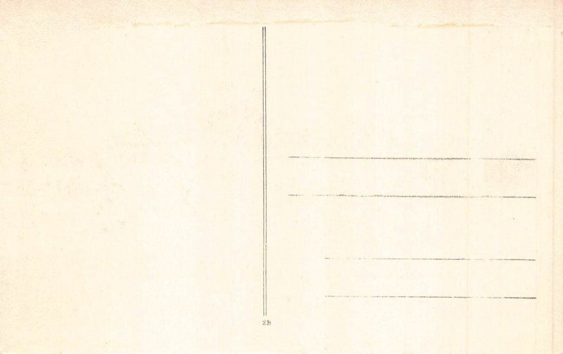 Germany Berlin Schloss Castle vintage postcard