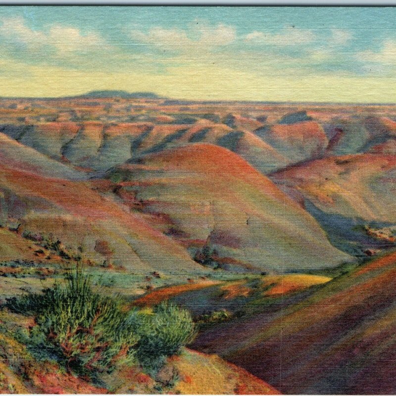 c1940s Painted Desert AZ Rolling Hills View PD #14 Teich Linen PC JR Willis A291