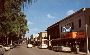Winter Park Florida FL Classic Cars Rexall DrugStreet Scene c1950s Postcard