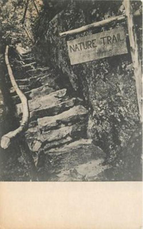 RUTLAND, VERMONT Entrance Long Trail Lodge Treadway Inns 712 postcard