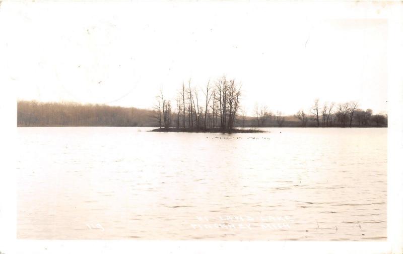 Pinckney Michigan~Hi Land Lake~Trees on Island Surrounded by Water~1939 RPPC