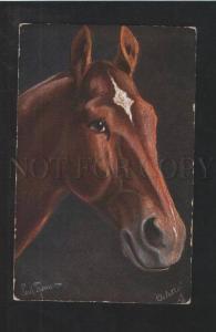 3073443 Head HORSE Hungarian Thoroughbred by THOMAS old TUCK