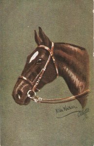 O.Merte.  Horse  Tuck Oilette Man'ps Best Friends Series PC # 9816