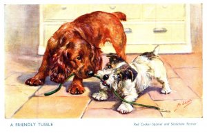 Dog ,  Red Cocker Spaniel , Sealyham Terrier