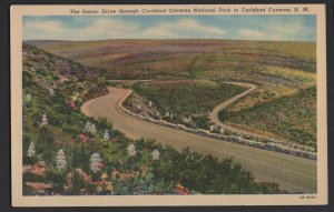 New Mexico Carlsbad Caverns National Park - The Scenic Drive ~ Linen